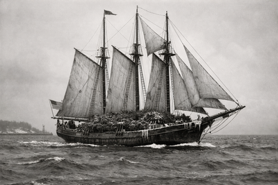 Posljednje putovanje "Broda Božićnih drvaca": Istinita priča o Rouse Simmonsu i njegovom plemenitom kapetanu