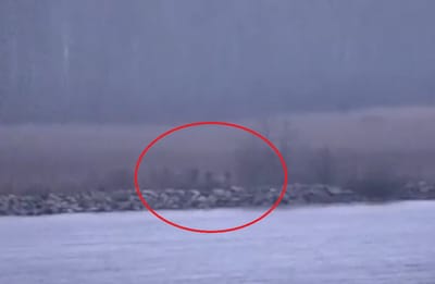 ZALUTALI RUSI Estonija: "Tri ruska policajca kratko su ušla u našu zemlju, stigli su brodom, postoji i video