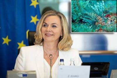 Odbor za ribarstvo prihvatio prijedlog hrvatske zastupnice: " Vrijedan je 2 milijuna eura i bavi se invazivnim vrstama"