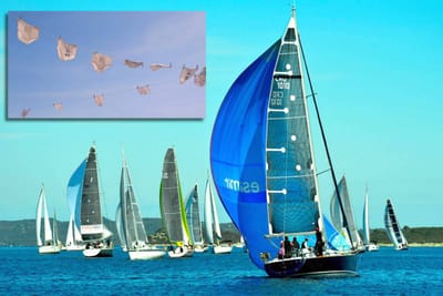 GLADUŠA Najavljena "najveselija" regata na Jadranu, čiji su zaštitni znak mudante!