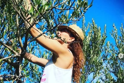 Noćnjak 2026.  - Evo tko su najuspješniji maslinari i koja su ulja proglašena najboljima: "Nagrađena i Zrinka Cvitešić"