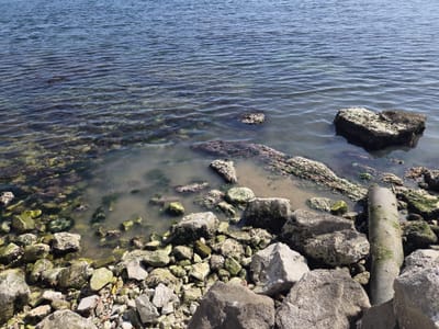 JADRAN NA ČEKANJU Dok turizam cvjeta, trećina ispusta i dalje bljuje sirovu kanalizaciju u more - Imamo najnižu stopu pročišćavanja voda u EU!