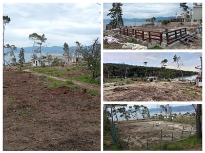 FOTO Šokantni prizori sa splitskih Bena: "Oluja je otkrila ono što su godinama skrivali borovi – pogledajte razmjere sustavne pohlepe!"