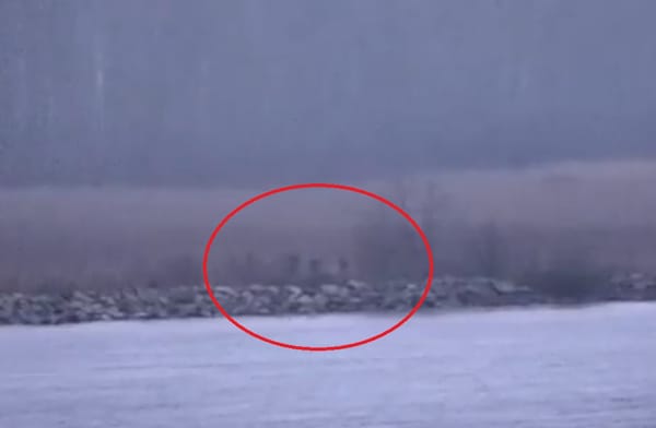 ZALUTALI RUSI Estonija: "Tri ruska policajca kratko su ušla u našu zemlju, stigli su brodom, postoji i video