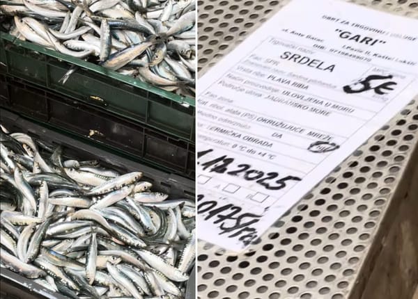 "LIP RUČAK ZA PET EURA" Skromna ponuda sa splitske peškarije