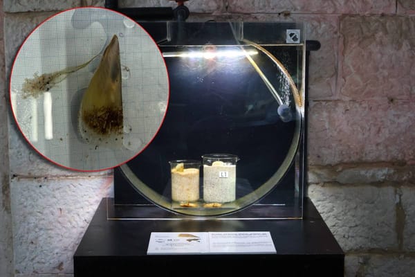 Hrvatski znanstvenici skeniranjem DNA pronašli perisku koju parazit ne ugrožava!