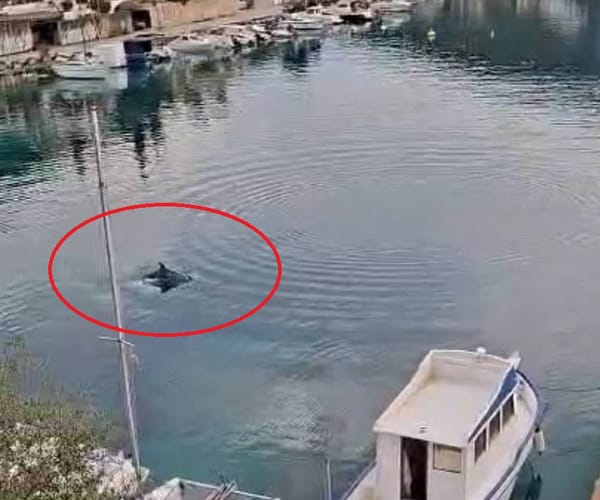 Dupin posjetio Žrnovsku Banju na Korčuli