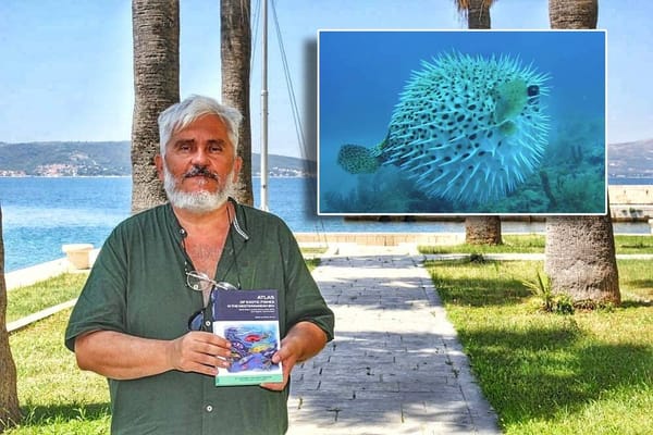 Nagrađeni splitski znanstvenik upozorava na invazivnu vrstu: "Sadrži otrov jači od cijanida, nemojte ju niti dodirivati"