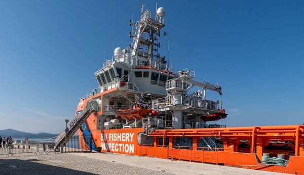 Uz zadarske Orgulje, se umjesto kruzera privezao brod europske ribarske inspekcije