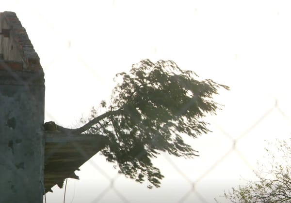 Urušio se neobičan "betonski bor s balkona" u Zadru