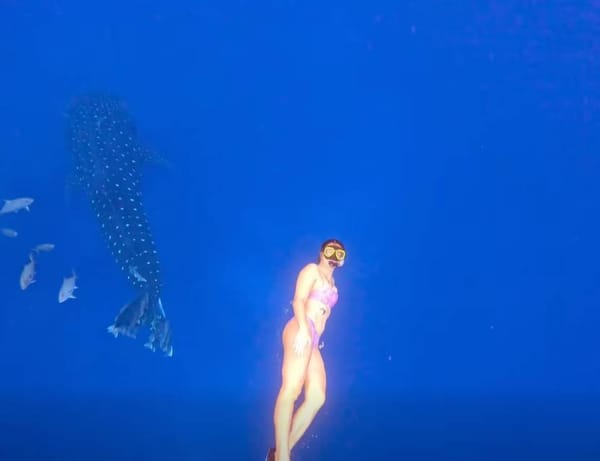 Naša plivačka heroina objavila kratak video: "Sve moje želje su se ostvarile"