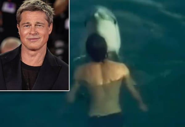 Brad Pitt svoj je prvi film snimio na jadranskoj obali, ali dupin "Joca" bio je popularniji i od njega!