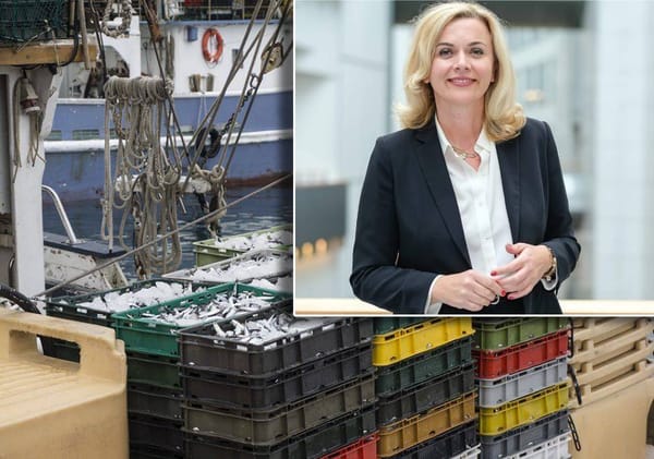 Europarlamentarka Zovko uputila pismo Europskoj komisiji povodom rasta cijena energenata u ribarstvenom sektoru