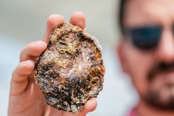 EUROPSKA KAMENICA Mali segment, velika tržišna vrijednost