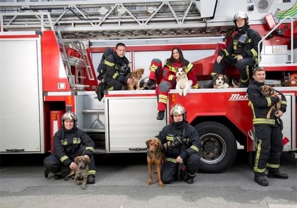 Vatrogasci divljacima rekli 'dosta': "Puna podrška zabrani bučne pirotehnike!"