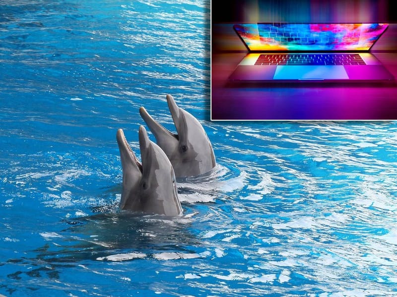 Kemikalije iz televizora i laptopa pronađene u mozgovima dupina i pliskavica