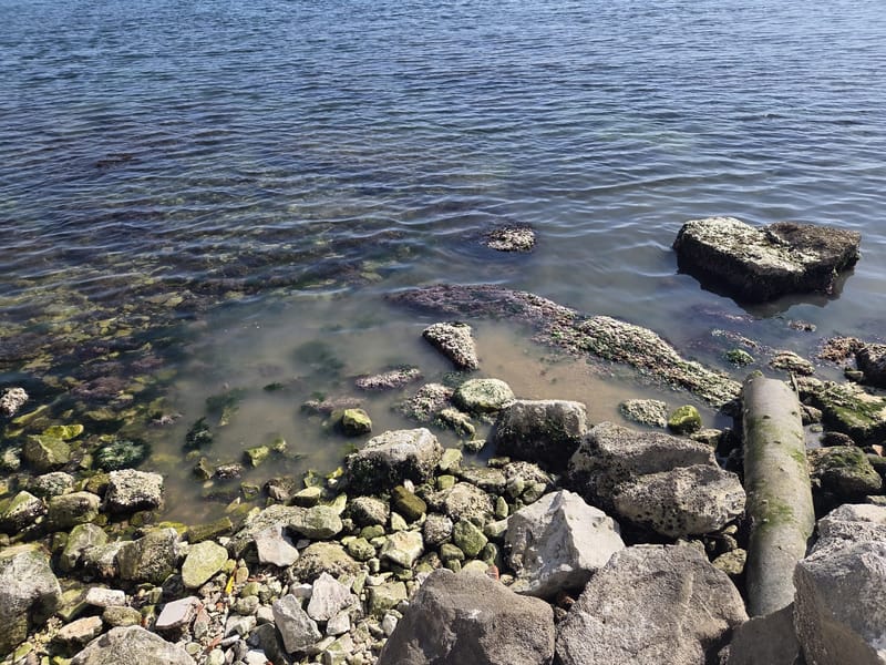 JADRAN NA ČEKANJU Dok turizam cvjeta, trećina ispusta i dalje bljuje sirovu kanalizaciju u more - Imamo najnižu stopu pročišćavanja voda u EU!