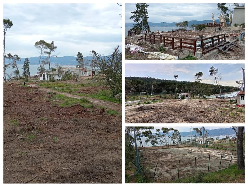 FOTO Šokantni prizori sa splitskih Bena: "Oluja je otkrila ono što su godinama skrivali borovi – pogledajte razmjere sustavne pohlepe!"