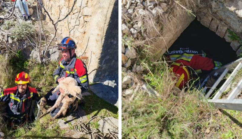 Brački vatrogasci spasili janje iz četiri metra dubokog groba