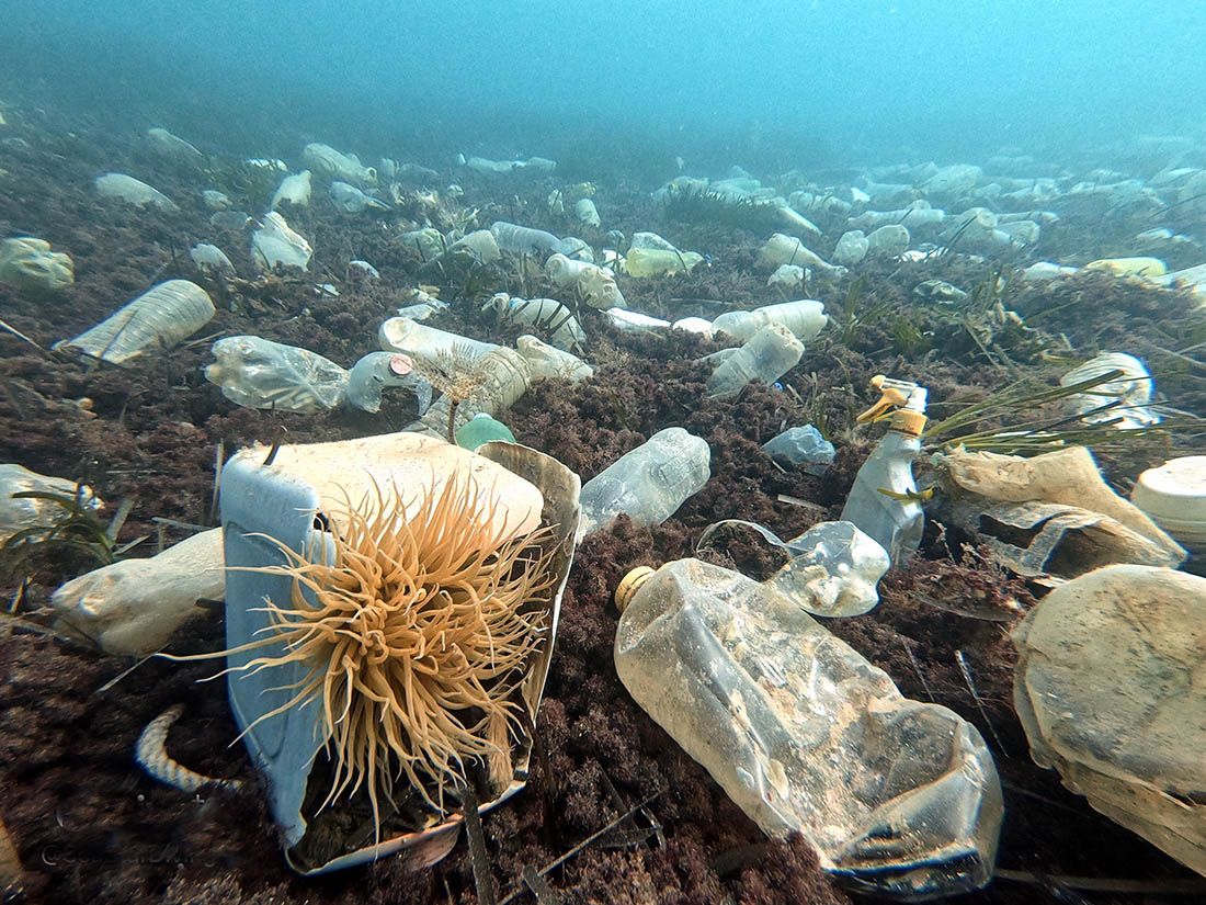 Potrošnja plastike i plastični otpad utrostručit će se do 2060.