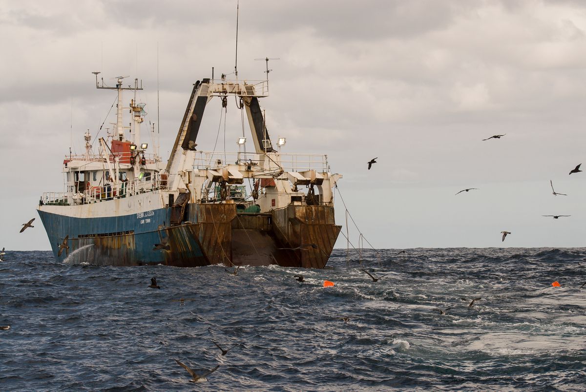 Ima li neregulirani ribolov u Indijskom oceanu veze i s našim