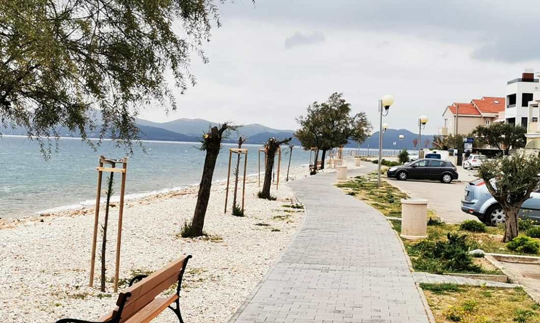 KAKVIM IMENOM OVO NAZVATI? Netko reže tamarise u Puntamici jer „zaklanjaju pogled turistima“