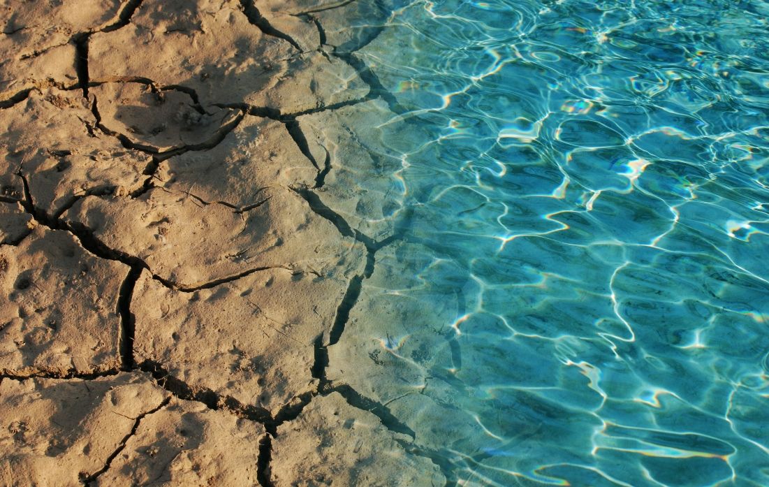 I JADRAN JE U OPASNOSTI  Pregrijavanje Mediterana ima poguban učinak na naše more