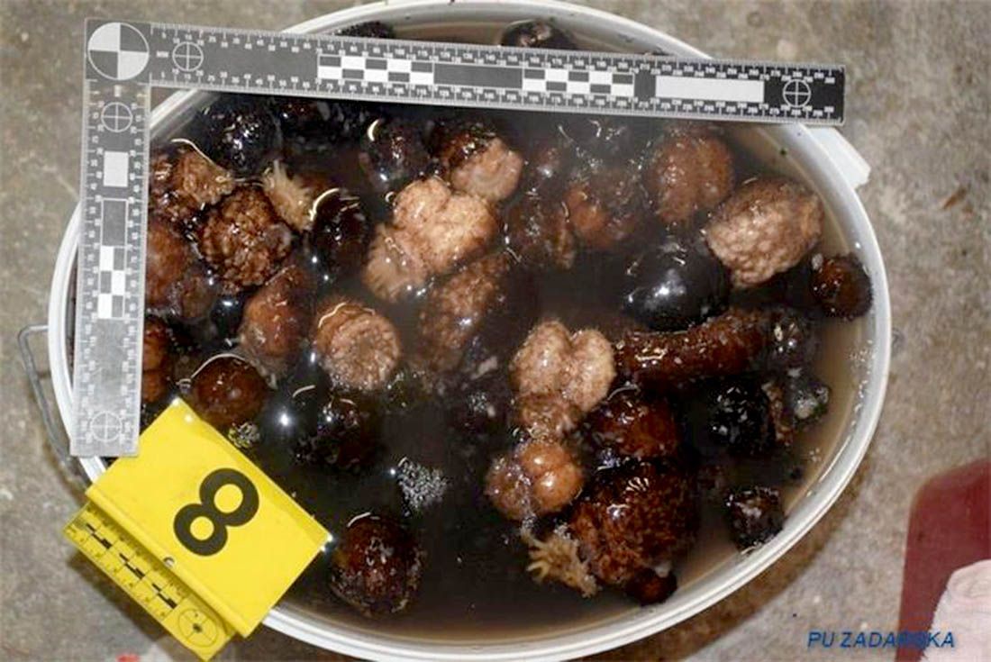 ROVANJSKA U automobilu policija pronašla oko 148 kg trpova