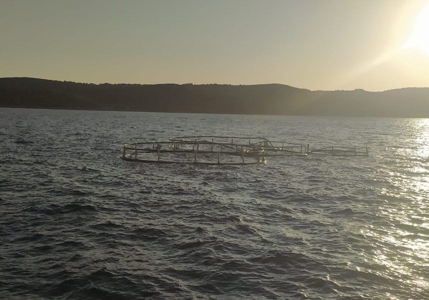 NEVJEROJATNO U Splitskim vratima plutao – kavez! Trajekt ga izbjegao za dlaku